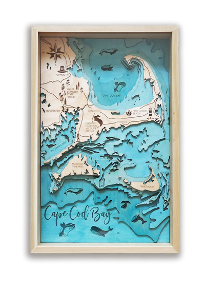 TOPOGRAPHIC MAPS & WOODEN WALL ART